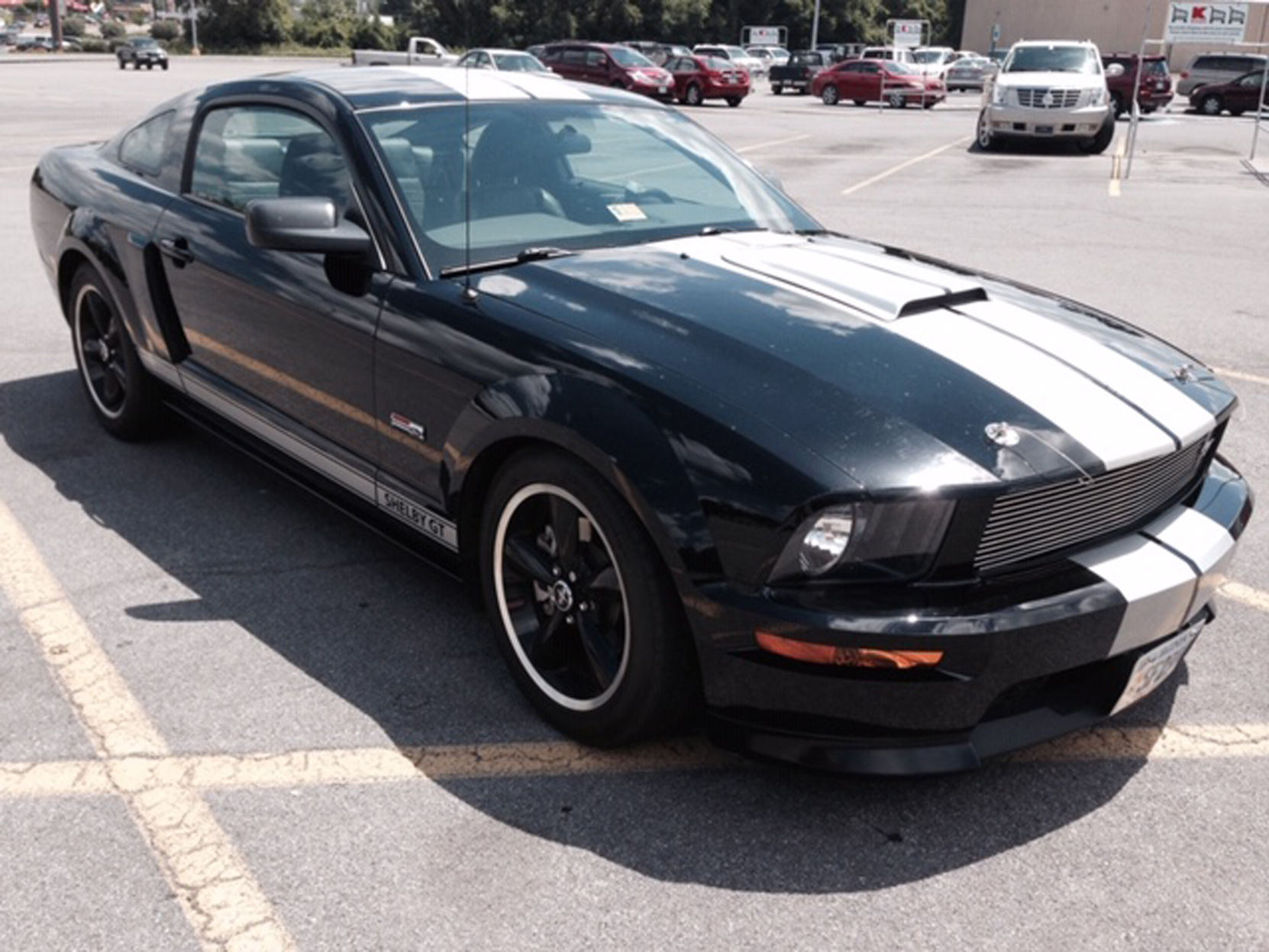 READER'S RIDE: 2007 Shelby GT Mustang
